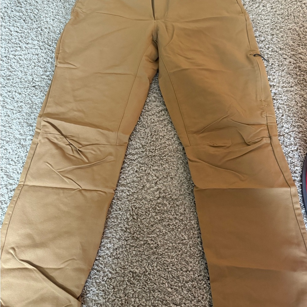 The Northface Pants (32)